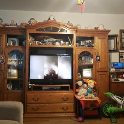 Oak TV Entertainment 