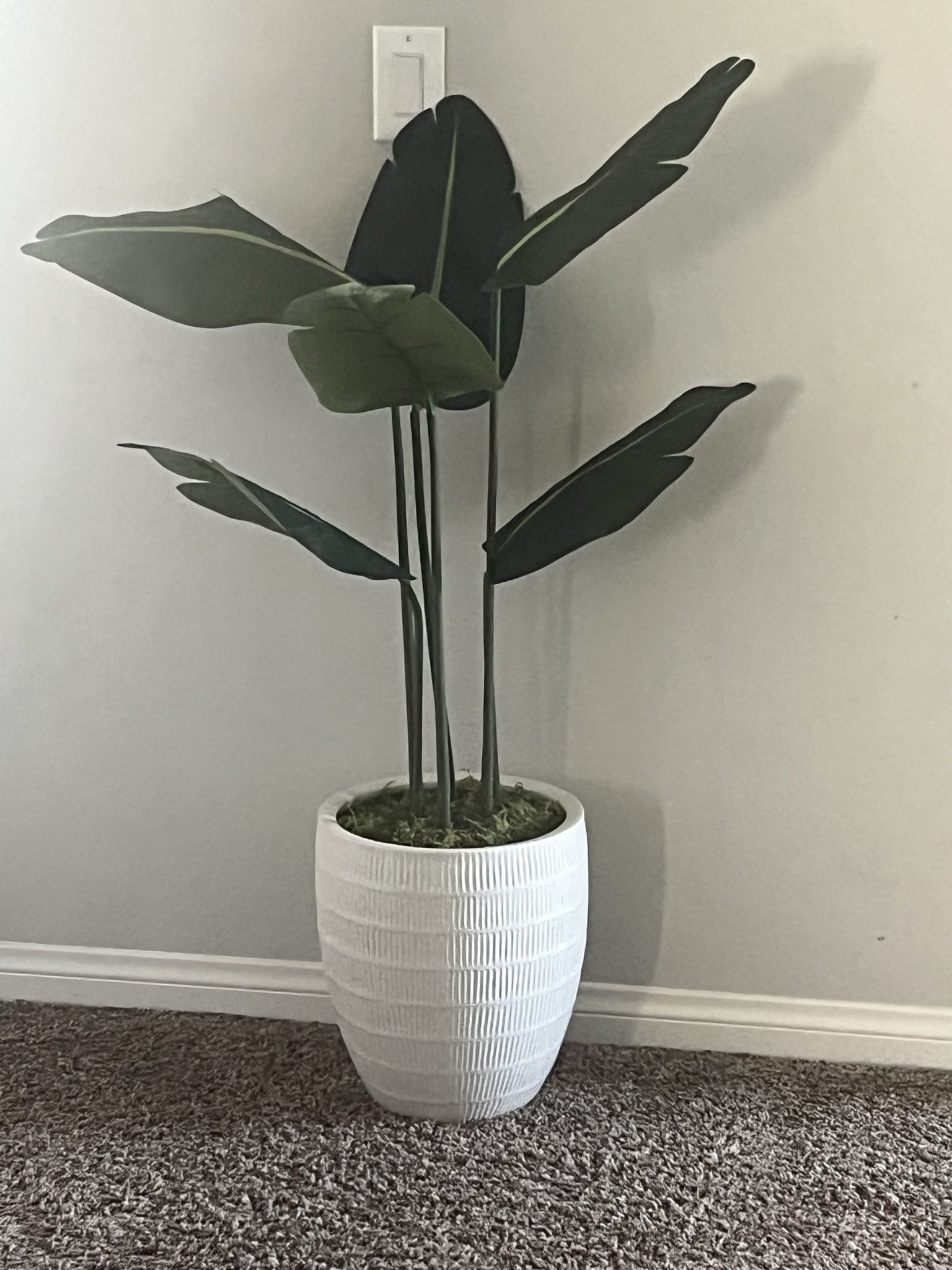 Two Faux Plants