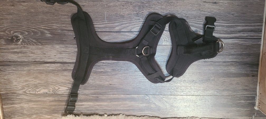 Black Dog Harness (S)