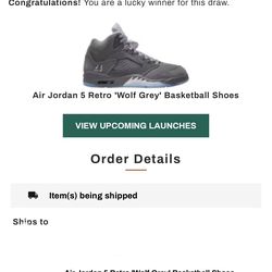 Jordan 5 retro Wolf grey
