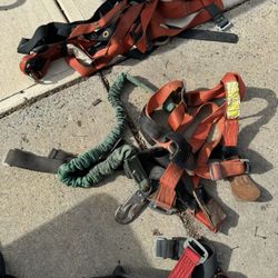 Harnesses