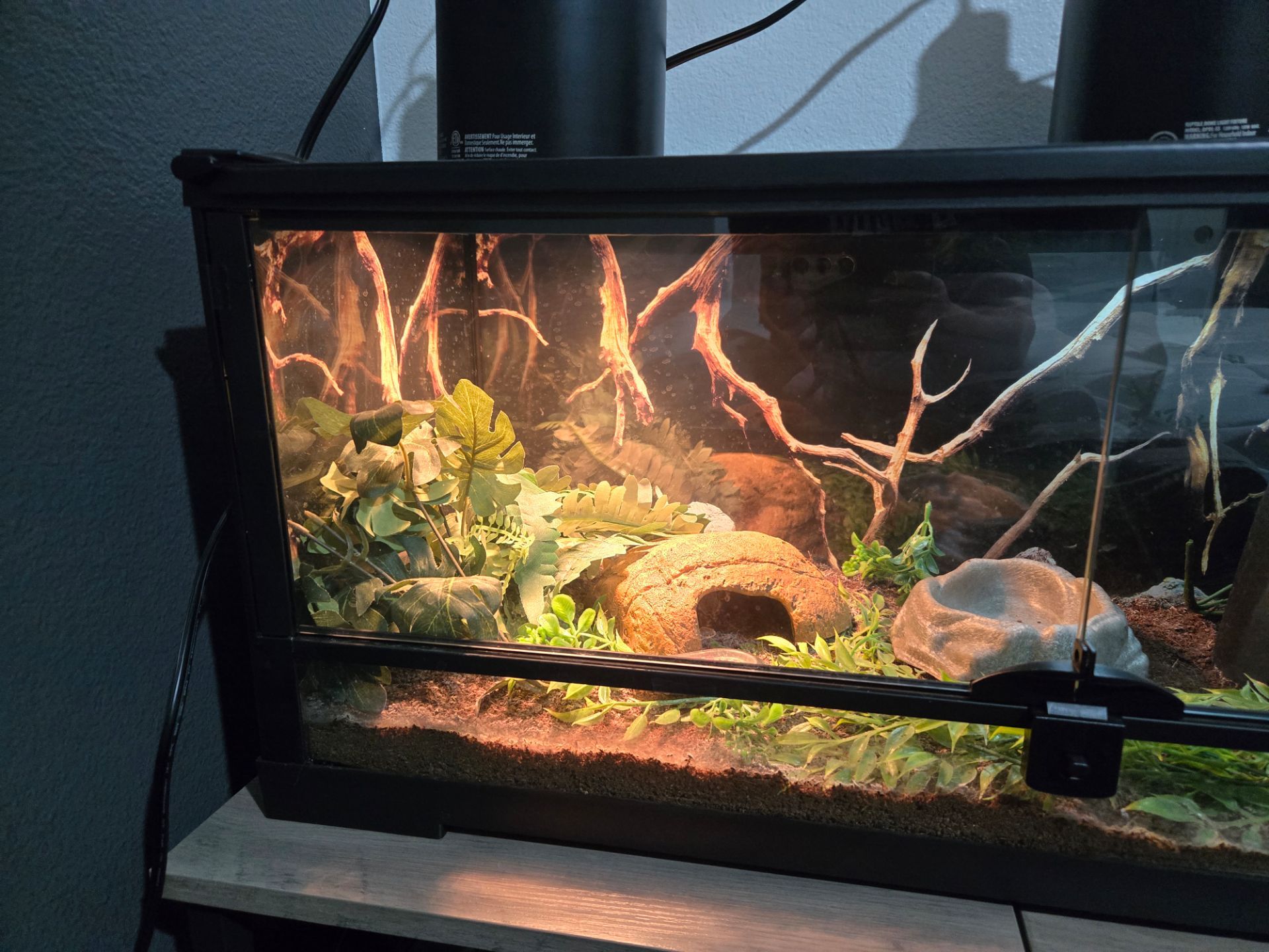 Thrive 20 gallon reptile tank