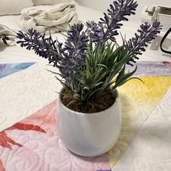 Fake Lavender Plant 