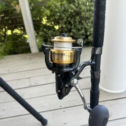 Shimano Baitrunner Reel