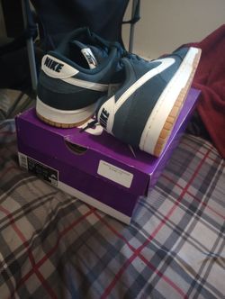 Nike Dunks Lows Retro SE Size 11.5 