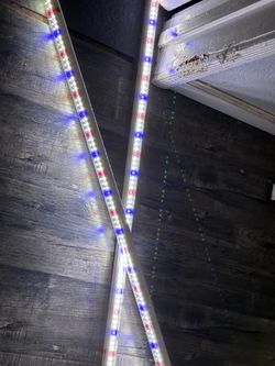 Grow lights both for 60