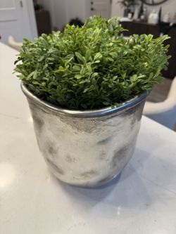 Decorative Pot And Faux Stems 