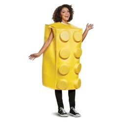 Lego Costume Adult 