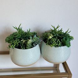 2 faux succulent plants in vase