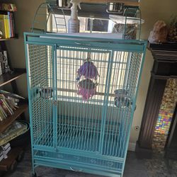 Beautiful  Turquoise Birdcage W Accessories Like New