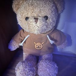 Teddy Bear Plush 