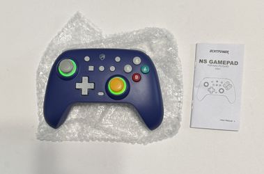 Nintendo Switch Controller