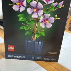 Lego Botanicals 