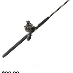 Fishing Pole 