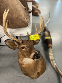 Buck Mounts