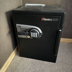 Sentry Fire Safe QE5541