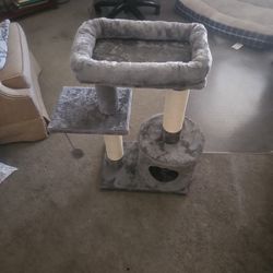 Cat Trees