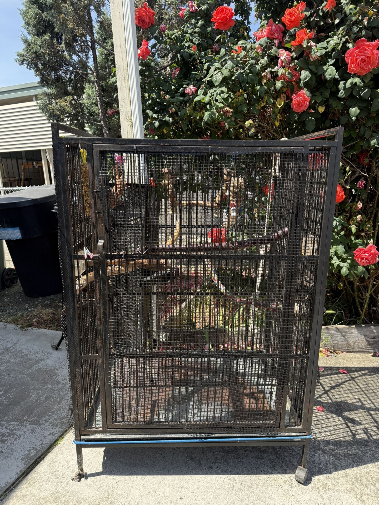 Big Bird Cage
