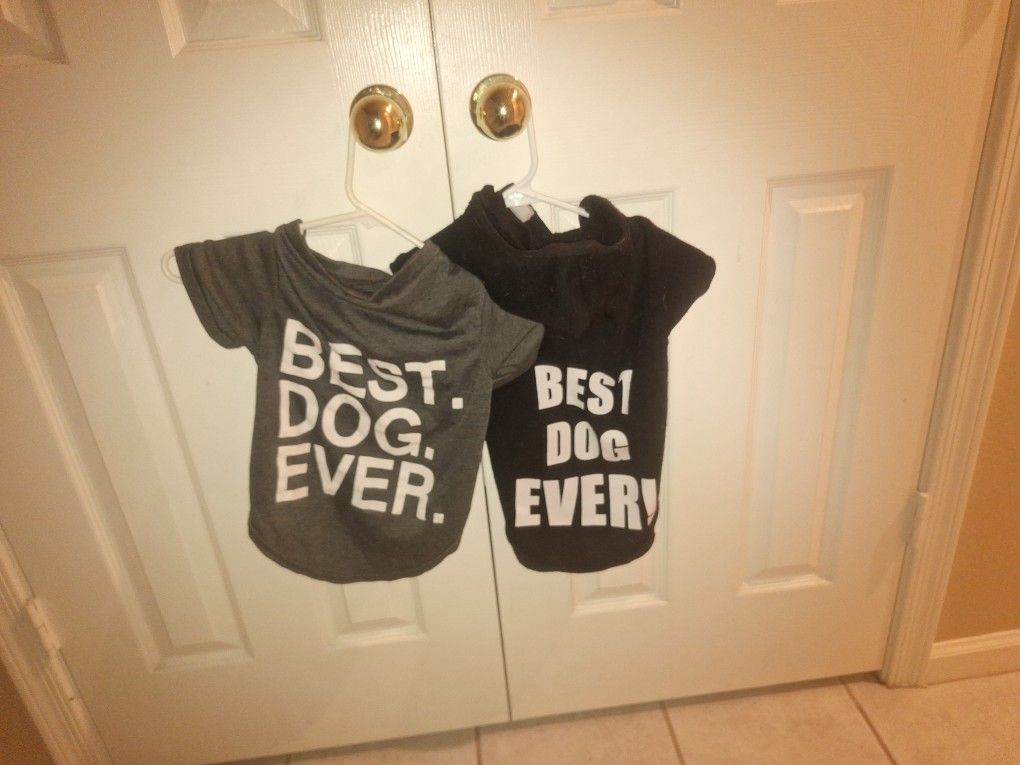 Best Dog Ever Hoodie With Matching Tshirt