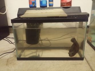 10 Gallon fish tank or aquarium
