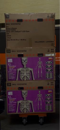 12 FT Giant-Sized Skelly with LifeEyes LCD Eyes