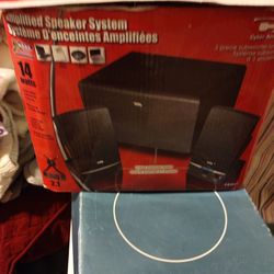 Systeme D'enceintes Amplifiees