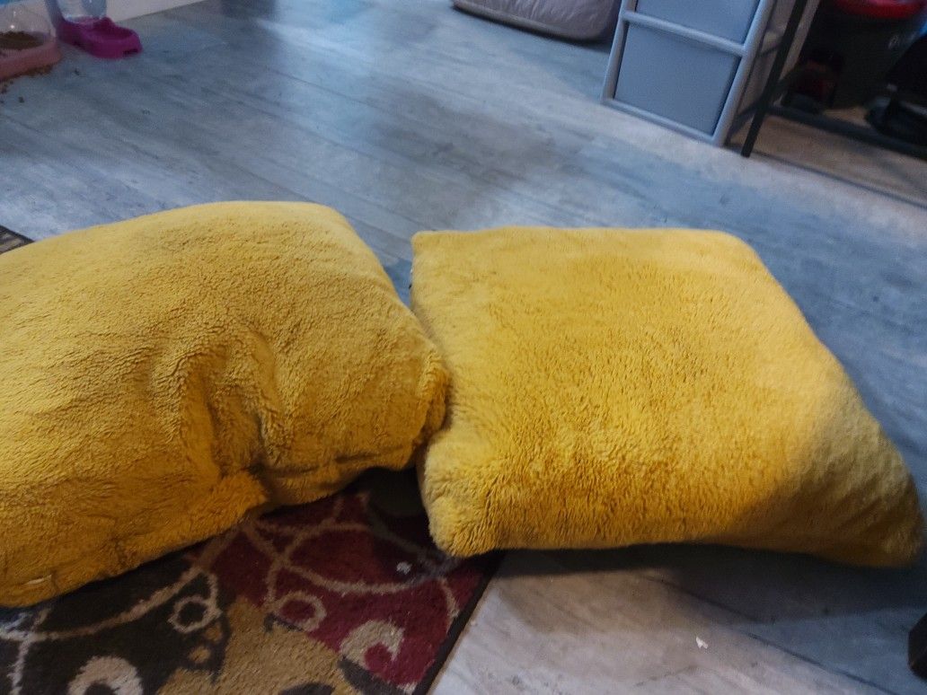 2 Dectative Pillows