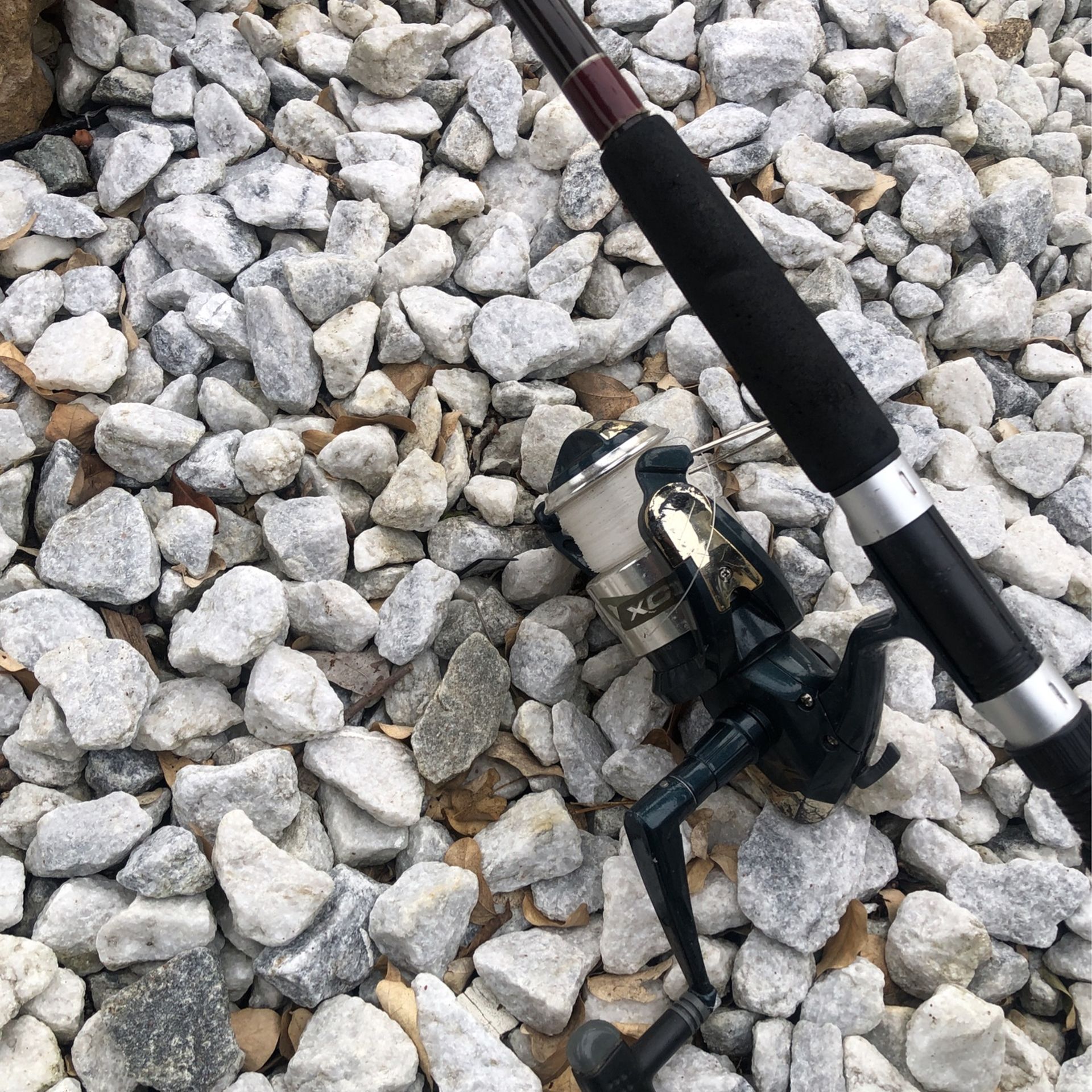 Fishing Reel XC31 & Fishing Rod W A Quantum Fishing Rod