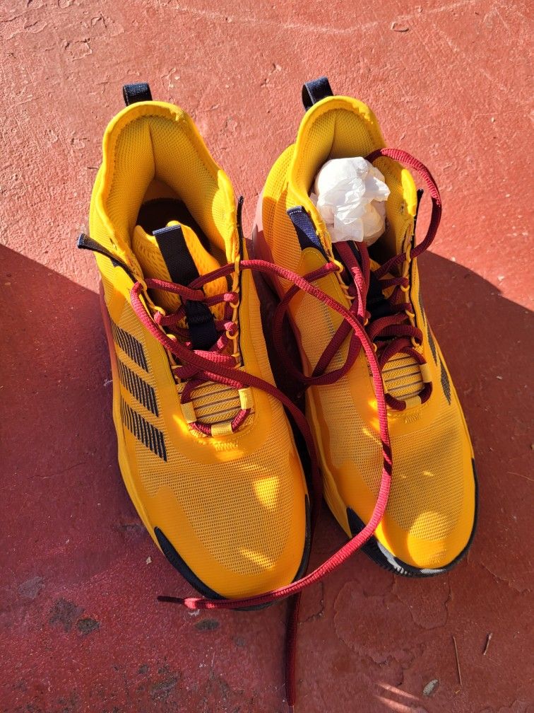 Timberland Boots/ Nike Tennis