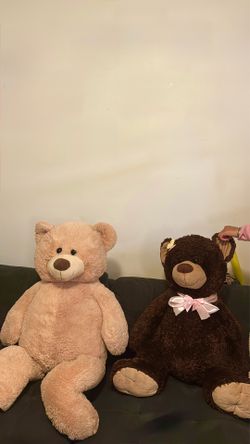 Bears