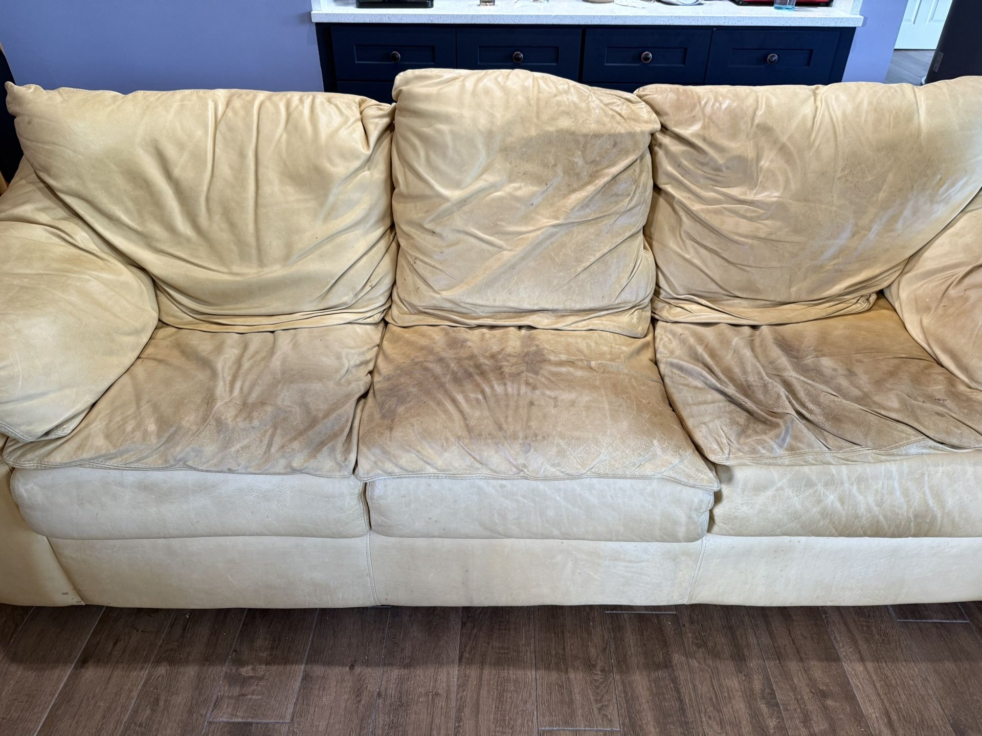 Leather Queen sleep Sofa