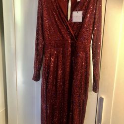 Sequins Burgundy Dress Size 10