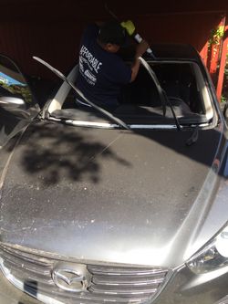 Affordable auto glass