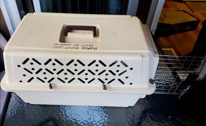 Small animal carrier