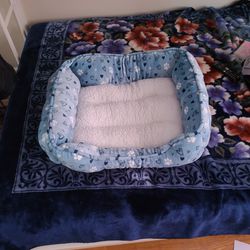 Dog Bed Square