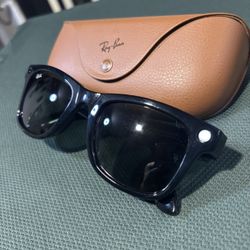 Ray Ban Meta Wayfare 