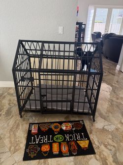 Dog cage extra large