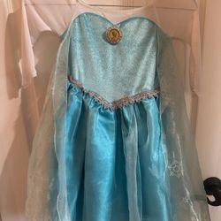 Elsa Costume 