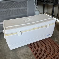 Igloo Cooler