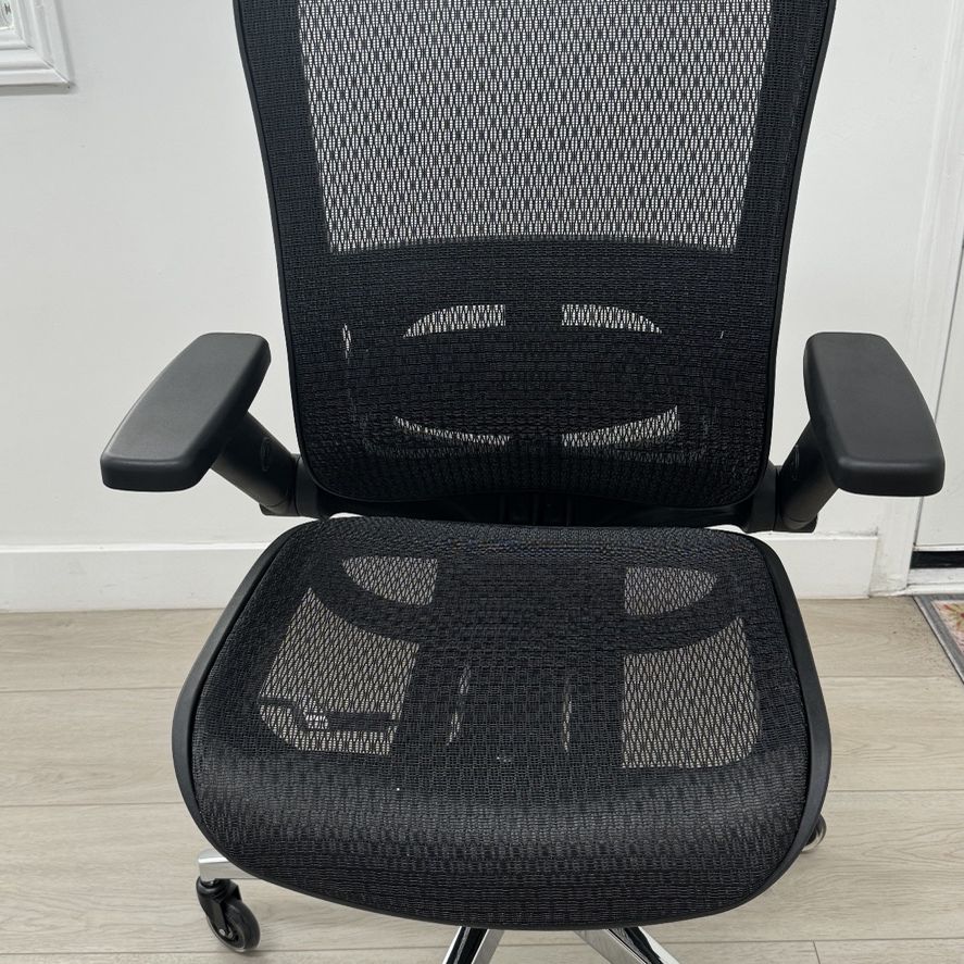 Real space Radano Mesh High Back Executive Office Chair 