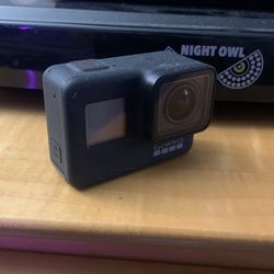 Go Pro