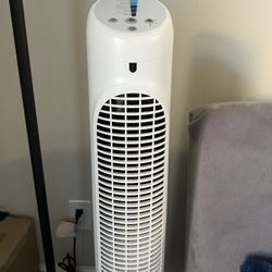 Fan