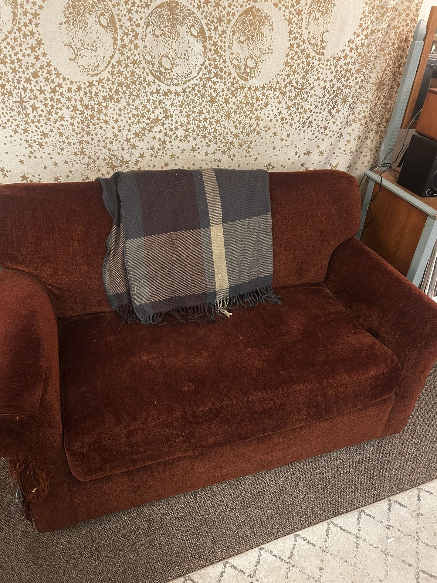 FREE Pull Out Small Couch