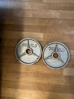 25 lb metal weight plates