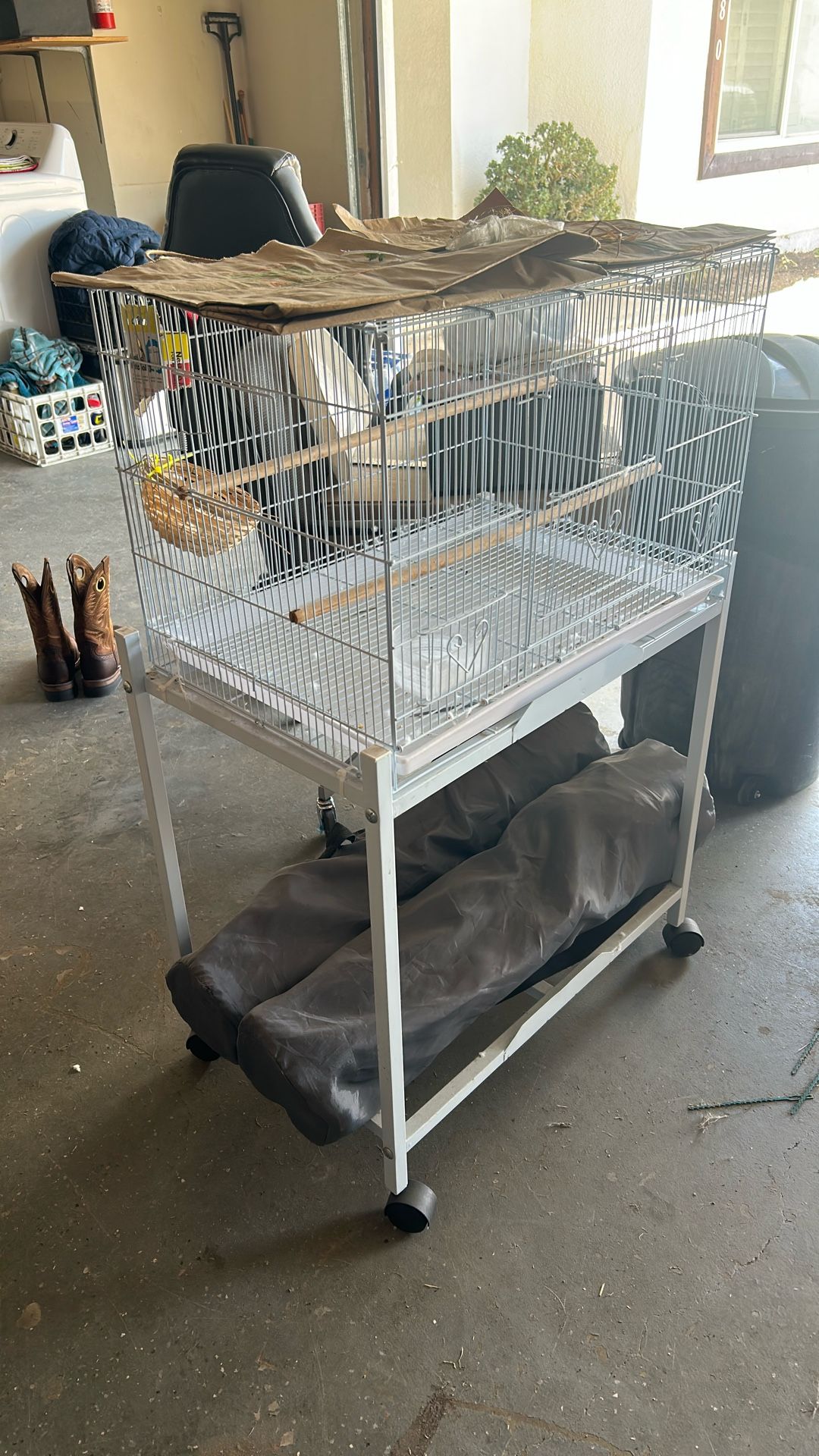 Bird Cage