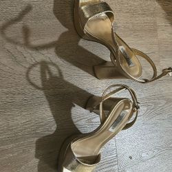 Steve Madden Beauties