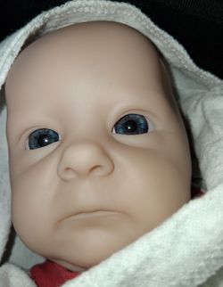 Reborn tink (edgewater  fl 32132)