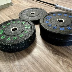Home gym! Weight Plates, Barbell, Kettlebells, Clamps, And Floor Mats