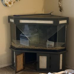Corner Aquarium Free. Read Description