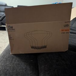 12 LED Bulbs